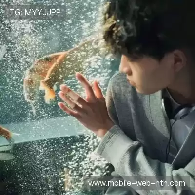 窦芸昀
